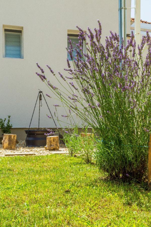 Green Stone Apartments Hajdúszoboszló Dış mekan fotoğraf